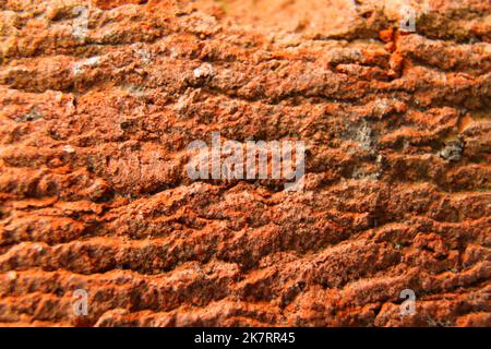 Flou artistique texture brique rouge macro gros plan, ancienne texture grenée détaillée. Macro de texture brique rouge gros plan, ancienne copie texturée grenée détaillée Banque D'Images