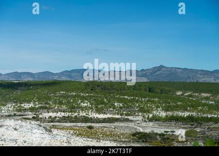 Vue sur les pins replantés (programme de reboisement) le long de la route fédérale mexicaine 135 au nord de la ville d'Oaxaca de Juarez, Oaxaca, Mexique. Banque D'Images