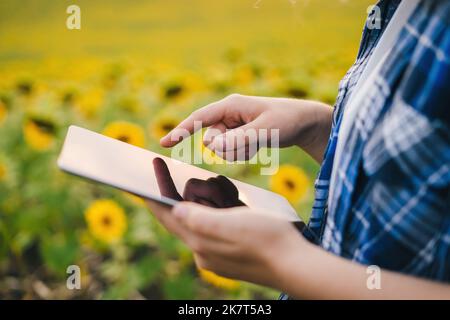 Mains de l'agriculteur tenant une tablette numérique avec écran vierge, travaillant sur le terrain, en utilisant une application mobile. Beau coucher de soleil, le printemps. Ferme intelligente Banque D'Images