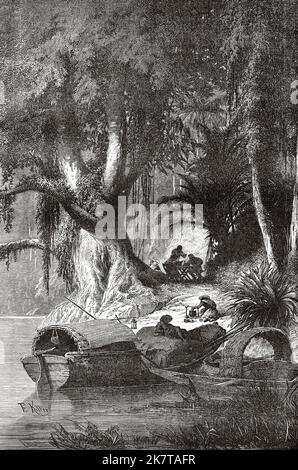 Se reposer à l'ombre d'un arbre géant dans la forêt vierge de l'Amazone. Brésil, Amérique du Sud. Exploration des rivières Amazone et Madère dans l'Empire brésilien par Franz Keller-Leuzinger, 1867 Banque D'Images