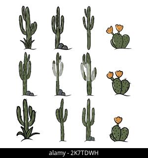 Ensemble de cactus et d'aloès mexicains. Collection de plantes exotiques. Cactus avec fleurs Illustration de Vecteur