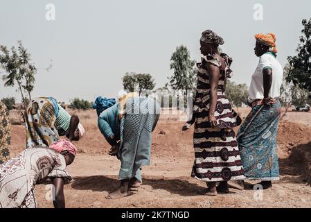 Ouagadougou, Burkina Faso. Décembre 2017. Un groupe de femmes appartenant à une coopérative agricole travaille dans un domaine Banque D'Images