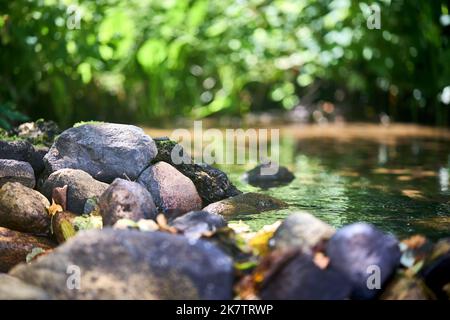 Pierres sur la rive du ruisseau avec l'eau claire et transparente bubbling sélectif foyer avec l'herbe côtière verte en retrait de fond de foyer avec Banque D'Images