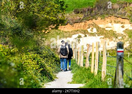 Varengeville sur Mer (nord de la France) : marcheurs sur un sentier marqué, sentier de randonnée GR® 21, sentier le long des falaises de la côte normande, « côte d'Albatre Banque D'Images