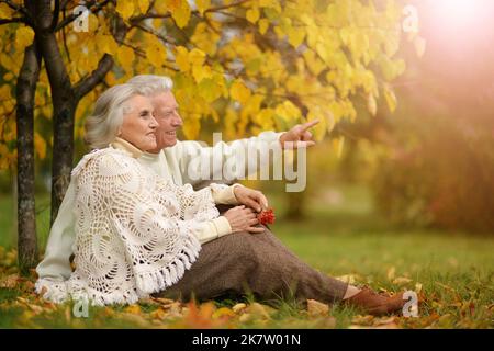 Beau couple âgé dans un parc d'automne. Photo de haute qualité Banque D'Images