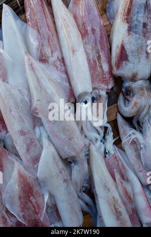 Calmar de bébé cru sur le marché des fruits de mer. Concept de la nourriture de mer. Banque D'Images