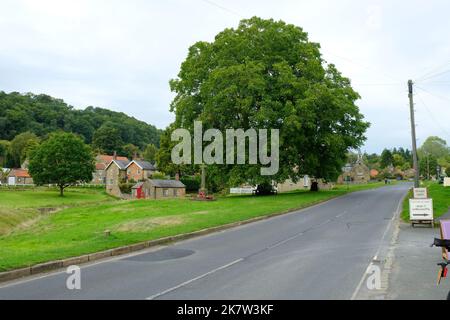 La route principale à travers Hutton le Hole, Yorkshire, Royaume-Uni - John Gollop Banque D'Images