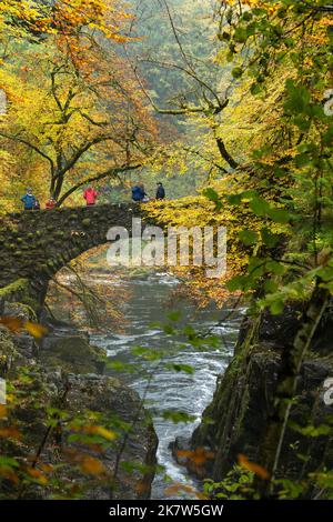 The Hermitage, Dunkeld, Écosse, Royaume-Uni. 19th octobre 2022. Météo au Royaume-Uni: Visiteurs appréciant les couleurs de l'automne en pleine journée à l'Hermitage, Dunkeld, Perthshire crédit: Kay Roxby/Alay Live News Banque D'Images