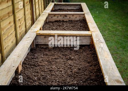 Gros plan de grands jardinières de légumes en bois dans le jardin d'arrière-cour rempli de terre prête pour la plantation. Banque D'Images