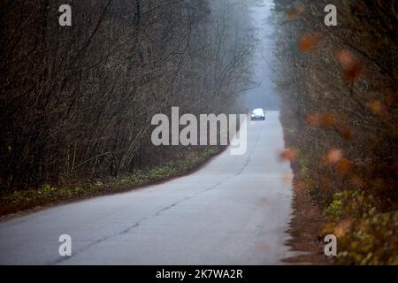Voiture avec phares allumés hors de focus approchant le long de la route sinueuse de campagne asphaltée étroite entourée par la forêt dense d'automne et brouillard moody shot. Banque D'Images