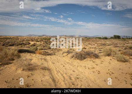 Le désert dans le sud de la Californie près de la ville de 29 palmiers, près du parc national de Joshua Tree, USA Banque D'Images