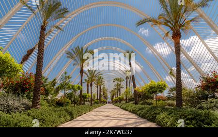 Valence, Espagne - 29 avril 2019 : vue sur la Cité des Arts et des Sciences de Valence créée par l'architecte Santiago Calatrava. Complexe culturel de Valence. Banque D'Images