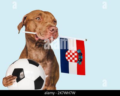 Chiot charmant et adorable, portant le drapeau national. Gros plan Banque D'Images