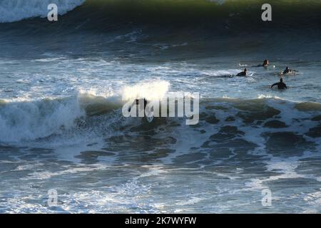 Surf sur Gower, pays de Galles. De grandes cellules se déplacent dans la baie de Langland Bay, Mumbles Banque D'Images