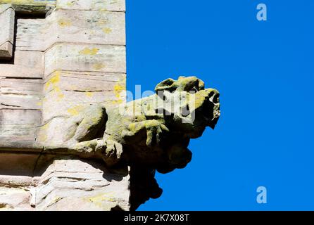 Un gargouille sur l'église Saint-Pierre et Saint-Paul, Coleshill, Warwickshire, Angleterre, Royaume-Uni Banque D'Images
