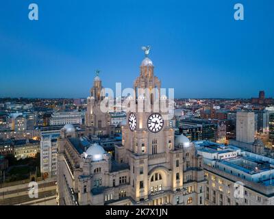 Point de vue de drone sur le bâtiment du foie et les oiseaux du foie, Merseyside, Angleterre Banque D'Images