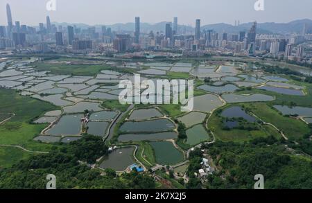 Vue générale du point de contrôle de Lok Ma Chau à la frontière nord-ouest à Hong Kong. Le Plan quinquennal 14th indique un soutien clair au développement de Hong Kong en une plaque tournante internationale de l'innovation et de la technologie (I&T), et inclut la boucle Shenzhen-Hong Kong comme l'une des quatre principales plates-formes de coopération dans la région métropolitaine de Guangdong-Hong Kong-Macao (GBA). Photo de Ma TSO Lung à Lok Ma Chau. 03MAY22. SCMP / TSE de mai Banque D'Images