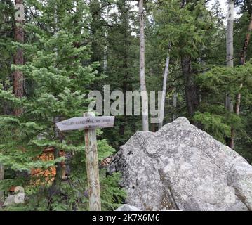 Panneau Wood Weller Lake Trail à côté d'un grand rocher dans une forêt remplie d'imposants pins et d'Aspens dans le comté de Pitkin, Colorado, États-Unis Banque D'Images