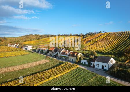 Enzersfeld dans la région de Weinviertel pendant l'automne. Vignoble et cave à vins en Basse-Autriche. Banque D'Images