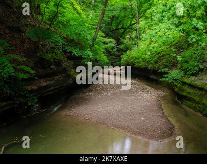 L'été de l'iin de LaSalle Canyon est rempli de son lit de ruisseau et de feuillage vert lucious en été, Starved Rock State Park, comté de LaSalle, Illinois Banque D'Images