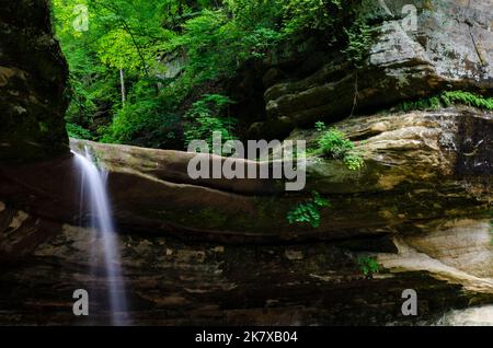 Les chutes LaSalle se déversent sur une corniche de grès dans le canyon LaSalle, dans le parc national de Starved Rock, comté de LaSalle, Illinois Banque D'Images