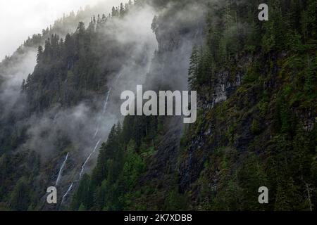 WA22385-00...WASHINGTON - chutes d'eau descendant à travers les nuages des champs de neige en haut à Enchanted Valley dans le parc national olympique. Banque D'Images