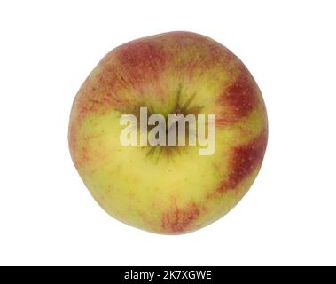 pomme colorée du dessus sur fond blanc Banque D'Images