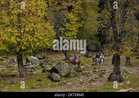 Sonamarg, Inde. 19th octobre 2022. Les touristes indiens apprécient les promenades à cheval pendant une journée d'automne à Sonamarg, à environ 100kms de Srinagar, la capitale estivale de Jammu-et-Cachemire. (Photo de Saqib Majeed/SOPA Images/Sipa USA) crédit: SIPA USA/Alay Live News Banque D'Images