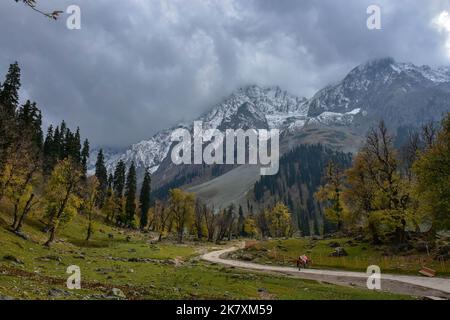 Sonamarg, Inde. 19th octobre 2022. Les touristes indiens apprécient une balade à cheval pendant une journée d'automne à Sonamarg, à environ 100kms de Srinagar, la capitale estivale de Jammu-et-Cachemire. (Photo de Saqib Majeed/SOPA Images/Sipa USA) crédit: SIPA USA/Alay Live News Banque D'Images