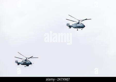 Saint-Pétersbourg, Russie - 31 juillet 2022 : deux hélicoptères militaires de la marine russe Kamov Ка-27М sont dans un ciel lumineux pendant la journée Banque D'Images