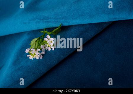Échantillon de textile en velours bleu foncé. Arrière-plan de texture de tissu Banque D'Images