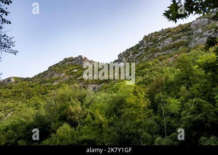 Belles falaises rocheuses et sommets de montagne, couvertes de forêt dense près de la ville d'omis, Croatie dans le canyon de la rivière Cetina Banque D'Images