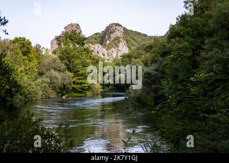 Belles falaises rocheuses et sommets de montagne, couvertes de forêt dense près de la ville d'omis, Croatie dans le canyon de la rivière Cetina Banque D'Images