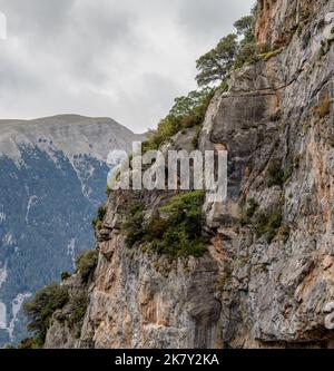 Vue magnifique sur les montagnes des Pyrénées espagnoles avec affleurements rocheux et pentes couvertes de forêt Banque D'Images