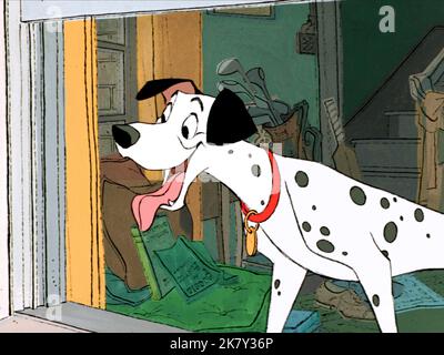 Pongo film: Cent un dalmatien; 101 Dalmatiens (USA 1961) Regie: Clyde Geronimi, Hamilton Luske, Wolfgang Reitherman, Directeur: Geronimi, Luske, Reitherman 25 janvier 1961 **AVERTISSEMENT** cette photographie est destinée à un usage éditorial exclusif et est protégée par les droits d'auteur de WALT DISNEY et/ou du photographe attribué par la Société de film ou de production et ne peut être reproduite que par des publications dans le cadre de la promotion du film ci-dessus. Un crédit obligatoire pour WALT DISNEY est requis. Le photographe doit également être crédité lorsqu'il est connu. Aucune utilisation commerciale ne peut être accordée sans autorisation écrite Banque D'Images