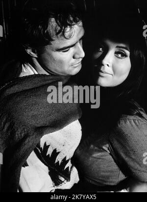 Marlon Brando & Anjanette Comer film: The Appaloosa; Southwest to Sonora (USA 1966) personnages: Matt Fletcher, Trini / Literaturverfilmung (basé sur le livre de Robert Macleod) Directeur: Sidney J. Furie 14 septembre 1966 **AVERTISSEMENT** cette photographie est destinée à un usage éditorial exclusif et est protégée par les droits d'auteur des IMAGES UNIVERSELLES et/ou du photographe attribué par la Société du film ou de la production et ne peut être reproduite que par des publications dans le cadre de la promotion du film ci-dessus. Un crédit obligatoire pour LES PHOTOS UNIVERSELLES est requis. Le photographe doit également être crédité lorsqu'il est connu. Pas de commer Banque D'Images