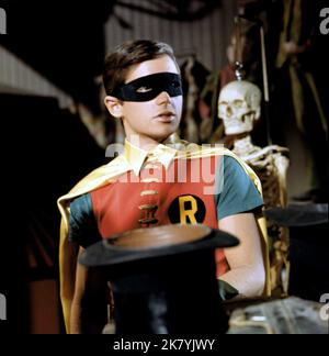 Burt Ward Television: Batman (TV-série) personnages: Robin USA 1966-1968, 12 janvier 1966 **AVERTISSEMENT** cette photographie est destinée à un usage éditorial exclusif et est protégée par les droits d'auteur d'ABC et/ou du photographe attribué par la Société de film ou de production et ne peut être reproduite que par des publications dans le cadre de la promotion du film ci-dessus. Un crédit obligatoire pour ABC est requis. Le photographe doit également être crédité lorsqu'il est connu. Aucune utilisation commerciale ne peut être accordée sans l'autorisation écrite de la Société du film. Banque D'Images