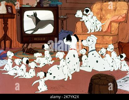 Pongo, Perdita & Dalmatiens film: Cent un dalmatien; 101 dalmatiens (USA 1961) personnages: Pongo,Perdita & Regie: Clyde Geronimi, Hamilton Luske, Wolfgang Reitherman, Directeur: Geronimi, Luske, Reitherman 25 janvier 1961 **AVERTISSEMENT** cette photographie est destinée à un usage éditorial exclusif et est protégée par les droits d'auteur de WALT DISNEY et/ou du photographe attribué par la Société de film ou de production et ne peut être reproduite que par des publications dans le cadre de la promotion du film ci-dessus. Un crédit obligatoire pour WALT DISNEY est requis. Le photographe doit également être crédité lorsqu'il est connu. Pas de commercial Banque D'Images