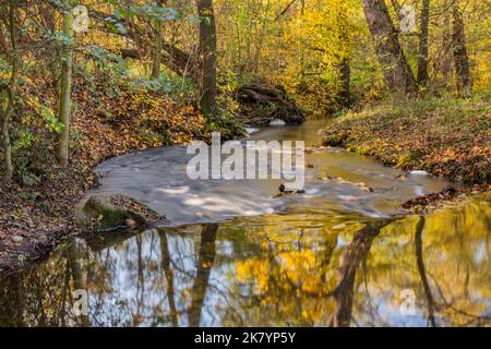 Vue d'automne sur le ruisseau Botic à Prague, République tchèque Banque D'Images