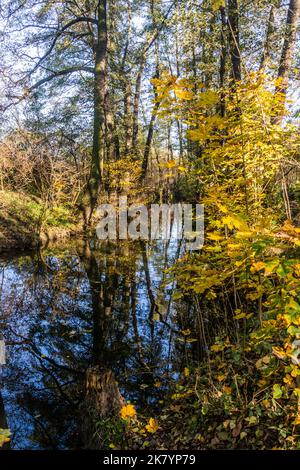 Vue d'automne sur le ruisseau Botic à Prague, République tchèque Banque D'Images