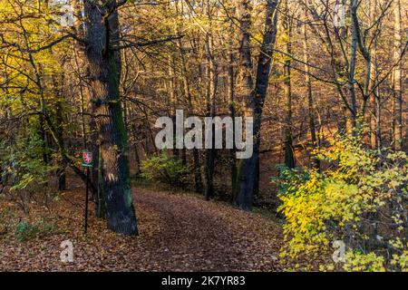 Vue d'automne d'un sentier forestier avec un panneau de monument naturel dans la forêt de Kunraticky à Prague, République tchèque Banque D'Images