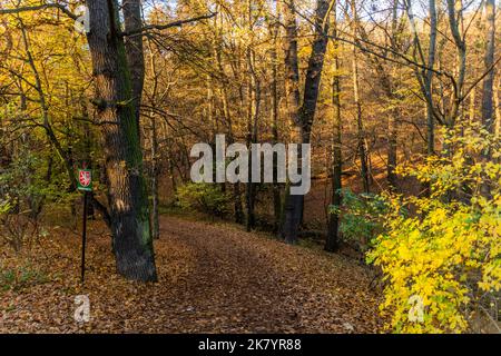 Vue d'automne d'un sentier forestier avec un panneau de monument naturel dans la forêt de Kunraticky à Prague, République tchèque Banque D'Images