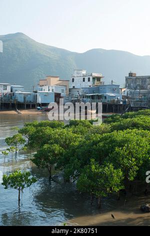 Maisons à pilotis ('pang uk') et mangroves à marée basse en plein soleil en fin d'après-midi, Tai O, île de Lantau, Hong Kong Banque D'Images