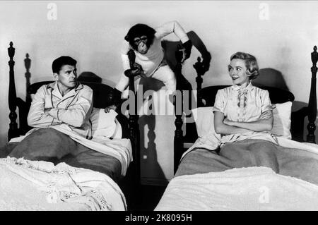 Ronald Reagan, Bonzo, Diana Lynn film: Coucher pour Bonzo (1955) personnages: Prof. Peter Boyd,Bonzo,Jane Linden Directeur: Frederick de Cordova 05 avril 1951 **AVERTISSEMENT** cette photographie est destinée à un usage éditorial exclusif et est le droit d'auteur d'UNIVERSAL et/ou du photographe assigné par la Société de film ou de production et ne peut être reproduite que par des publications dans le cadre de la promotion du film ci-dessus. Un crédit obligatoire pour UNIVERSEL est requis. Le photographe doit également être crédité lorsqu'il est connu. Aucune utilisation commerciale ne peut être accordée sans l'autorisation écrite de la Société du film. Banque D'Images