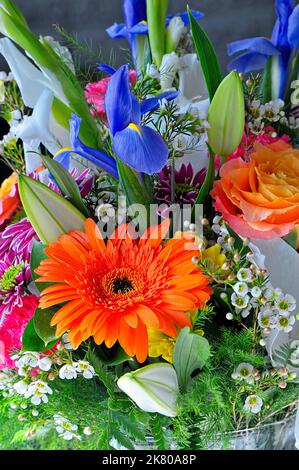 Bouquet floral coloré dans un vase comprenant une Marguerite Gerbera orange (Gerbera) et une iris bleu. Banque D'Images