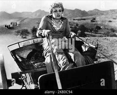 Shelley Winters film: Winchester '73 (USA 1950) personnages: Lola Manners Directeur: Anthony Mann 01 juin 1950 **AVERTISSEMENT** cette photographie est destinée à un usage éditorial exclusif et est le droit d'auteur d'UNIVERSAL et/ou du photographe attribué par la Société de film ou de production et ne peut être reproduite que par des publications en conjonction avec la promotion du film ci-dessus. Un crédit obligatoire pour UNIVERSEL est requis. Le photographe doit également être crédité lorsqu'il est connu. Aucune utilisation commerciale ne peut être accordée sans l'autorisation écrite de la Société du film. Banque D'Images