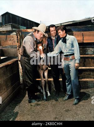 DaN Blocker, Pernell Roberts et Michael Landon Television: Bonanza (TV-série) personnages: Eric 'Hoss' Cartwright, Adam Cartwright, Joseph 'Little Joe' Cartwright USA 1959-1973, 12 septembre 1959 **AVERTISSEMENT** cette photographie est destinée à un usage éditorial exclusif et est protégée par les droits d'auteur de NBC et/ou du photographe attribué par la Société de film ou de production et ne peut être reproduite que par des publications en conjonction avec la promotion du film ci-dessus. Un crédit obligatoire pour NBC est requis. Le photographe doit également être crédité lorsqu'il est connu. Aucune utilisation commerciale ne peut être accordée sans l'autorisation écrite de TH Banque D'Images