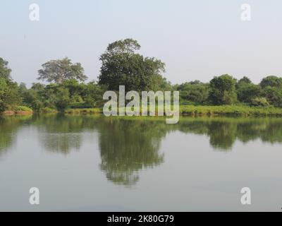 Beau short paysage au Sri Lanka Banque D'Images