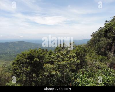 Beau short paysage au Sri Lanka Banque D'Images