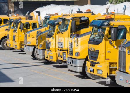 Une gamme de camions-mélangeurs à ciment jaune garés dans une cour à Sydney, Nouvelle-Galles du Sud, Australie Banque D'Images